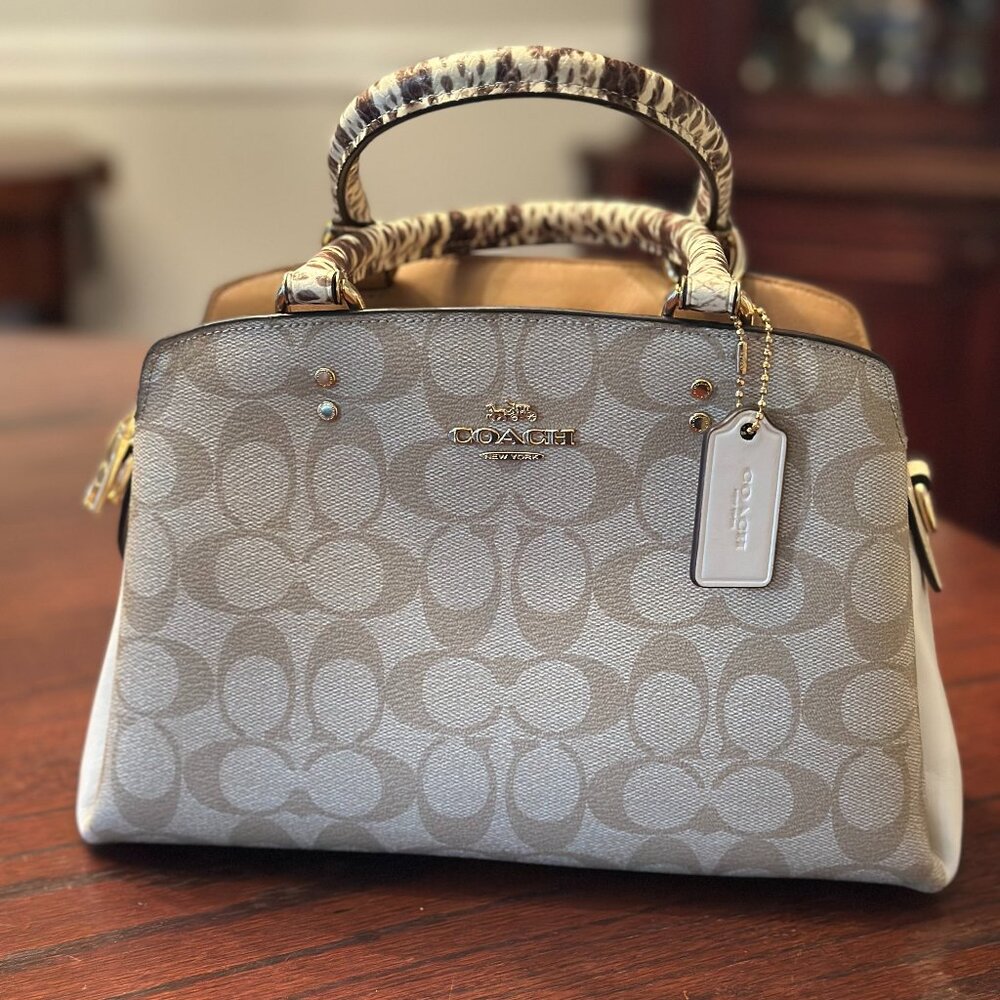 Coach Small Carryall Bag